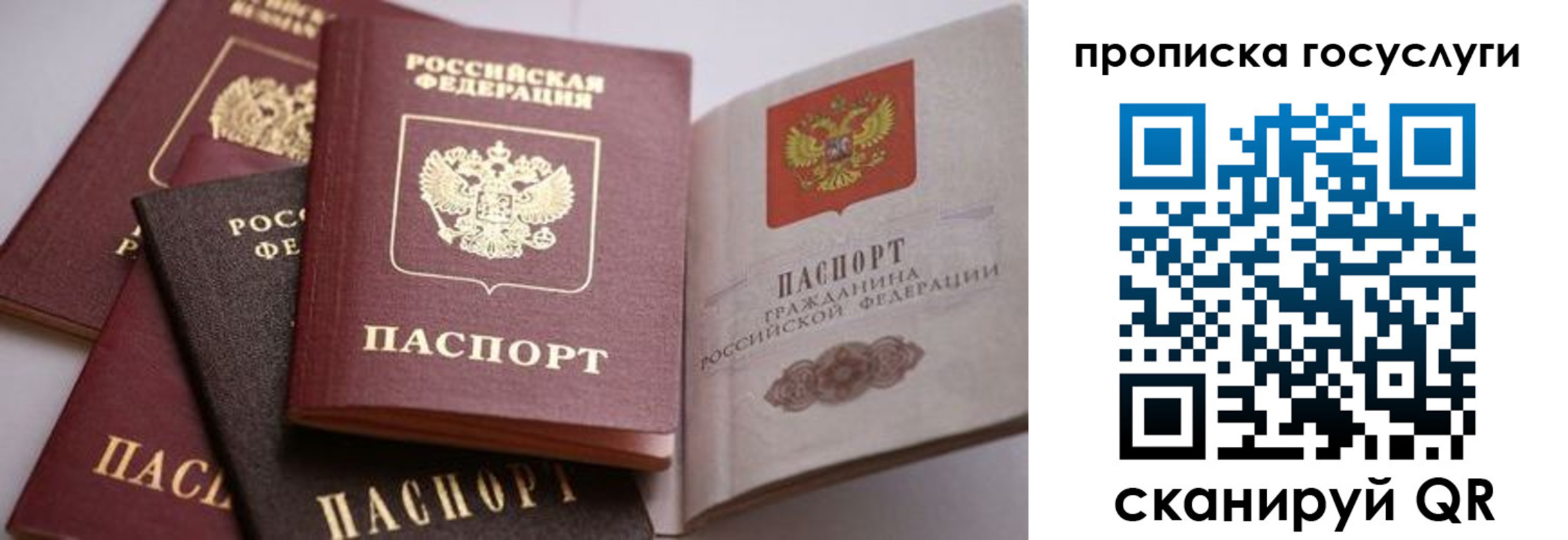 прописка иностранных граждан в Смоленской области