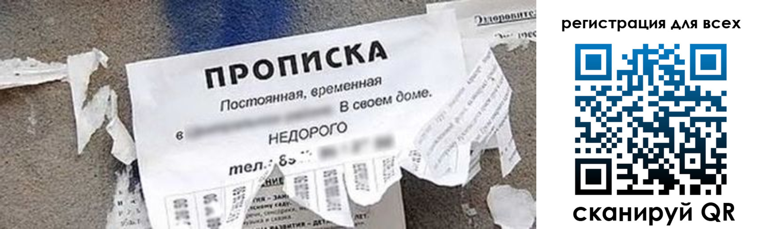 прописка поиск в Смоленской области